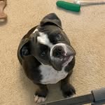 Tina Noble - @tinanoble481 - Instagram