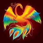 Tina Noble - @anitobile - Instagram