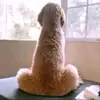 nothing_sus - @nothing._.sus - TikTok