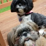Tina Nutting - @tinanut46 - Instagram