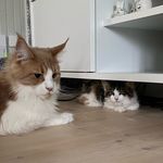Tina Nylund - @olgaoliviaoline - Instagram