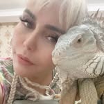 @tina______m______olina - Instagram