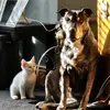 tina oneill - @tina.oneill - TikTok