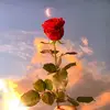 Tina - @tina.paredes.c - TikTok