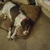 Tina Parsons  - Facebook