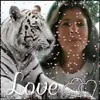 Tina Passarelli948 Tina - @tinapassarelli948 - TikTok