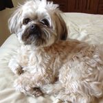 Tina Penner - @tina.penner.7 - Instagram
