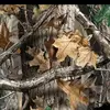 Tina Penner - @tina126901 - TikTok