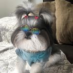 Tina Maria Coelho Primöh - @tinaprimoh - Instagram