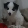 TinaPrimo - @hello_soyunaperson - TikTok