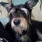Tina Putnam - @tina.putnam.9 - Instagram