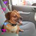 Tina Marie Quick - Facebook