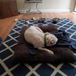 Tina Quick - @quicktina43 - Instagram