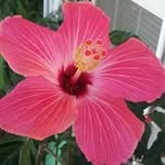 Tina Quick Hinojosa - @quickhinojosa - Instagram