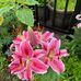 Tina Reimer - Facebook