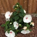 Tina Reimer - @tina.reimer.94 - Instagram