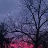 Tina Reimer - @tina.reimer2 - TikTok