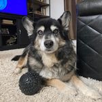 Tina Reimer - @reimer366 - Instagram