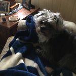 Tina Royer - @tmroyer2005 - Instagram