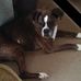 Tina Ruble - Facebook
