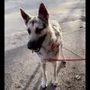 Tina ruble - @tinaruble - TikTok