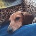 Tina Ruble - Facebook