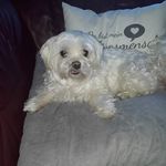 Tina Schubert - @tina.schubert.900 - Instagram