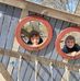 Tina Schubert - Facebook