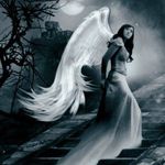 Tina Schubert - @schubert4799 - Instagram