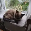Tina Schulz - @tina.schulz86 - TikTok
