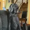 tinamsciulli - @tinamsciulli - TikTok