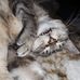 Tina Setzler - Facebook
