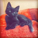 ___.Silver.__ - @tina_silver_44 - Instagram