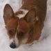 Tina Snelling - Facebook