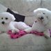 Tina Snelling - Facebook
