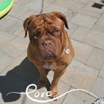 Tina Lundgren Starkey - @tinalu16 - Instagram