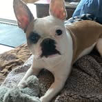 Tina Starkey - Facebook