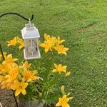 Tina St Clair - @timssassylady - Instagram