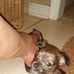 Tina St. Clair - Facebook