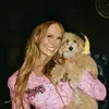 Christina Stratton - @christinastrat - TikTok