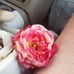 Tina Stratton - Facebook