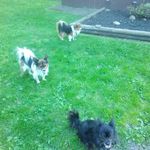 Tina Stratton - @tina.stratton.336 - Instagram