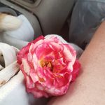 Tina Stratton - @stratton.tina - Instagram