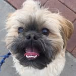 tina stratton - @s.illycatsallove_r - Instagram