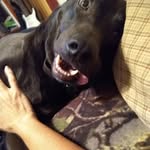 Tina Tobey Stringer - @tmstringer1 - Instagram