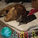Tina Sutherland - Facebook