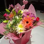 Tina Hodgson - @tinatabby2022 - Instagram