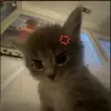 تينة - @tinatabby - TikTok