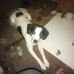 Tina Thacker - Facebook