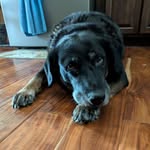 Tina Mitchell Trout - @trouttina - Instagram